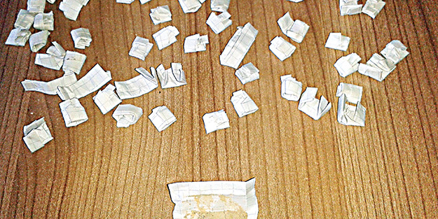 Doğudan eroin batıdan bonzai