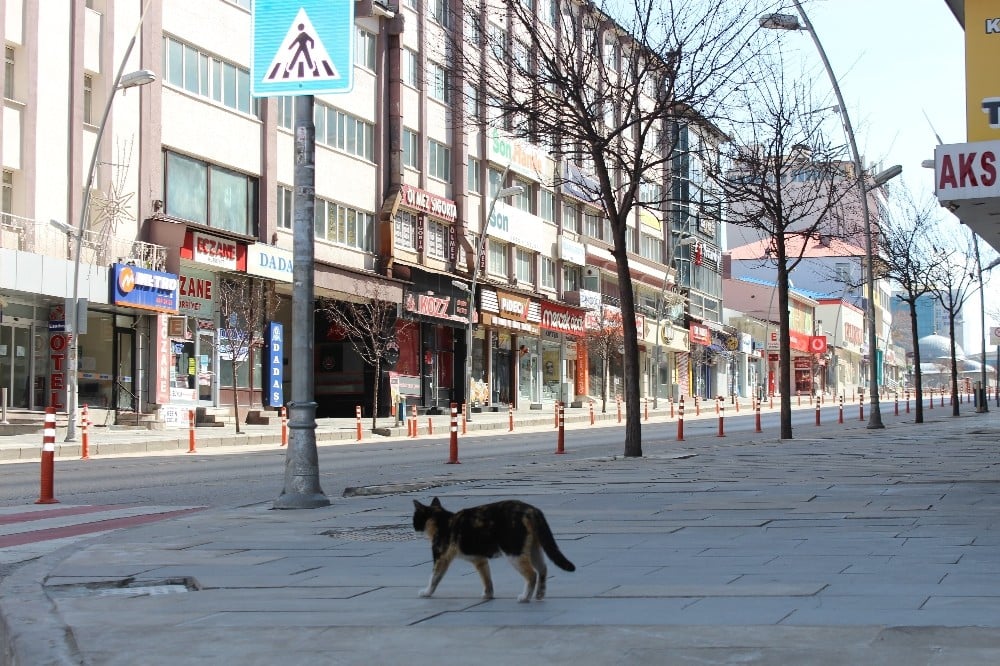 Doğunun gözde kenti Erzurum sessizliğe büründü 