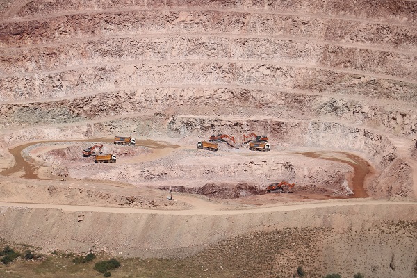 Doktor balıklar tehdit altındaydı! Ve beklenen karar geldi