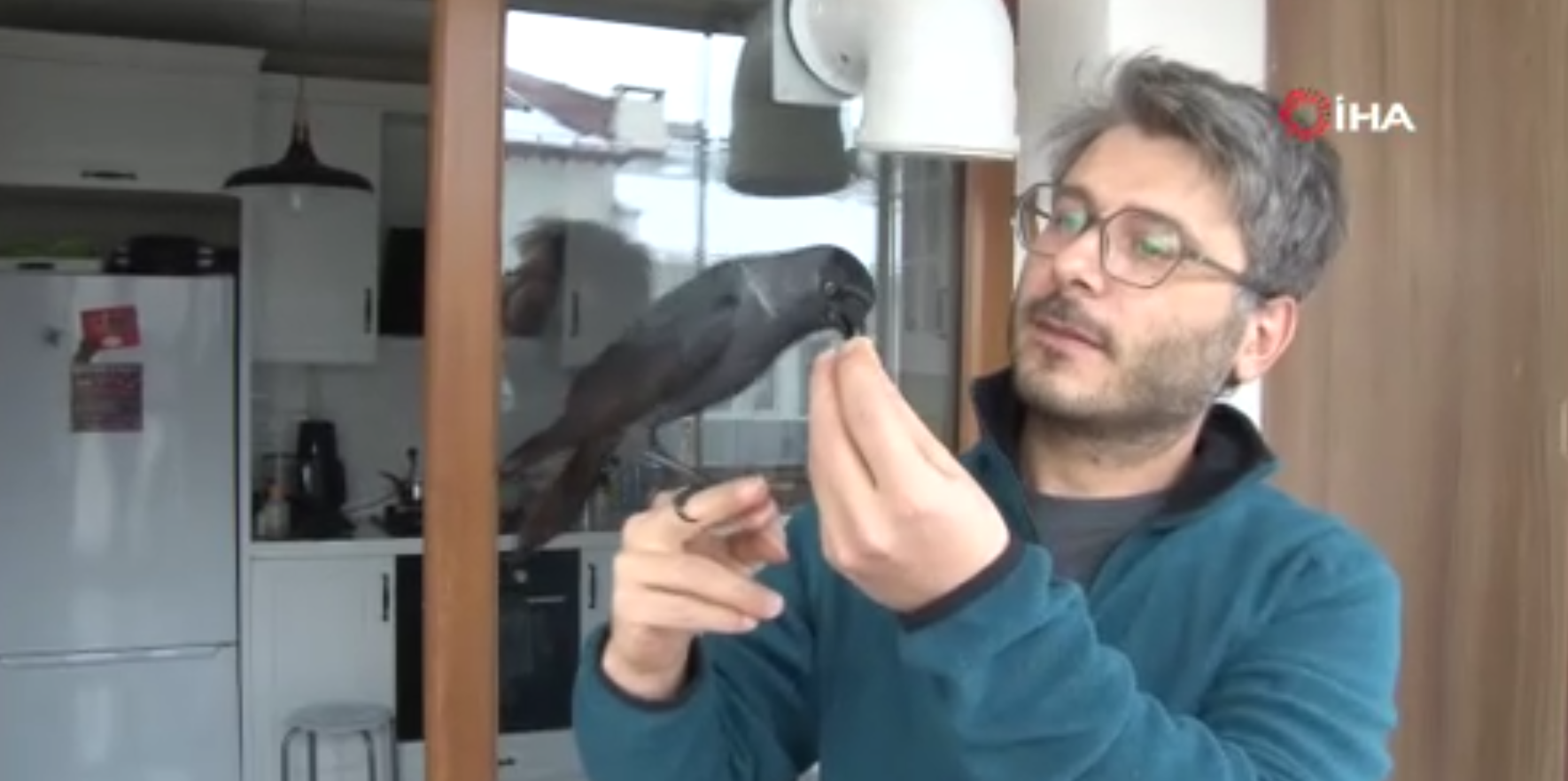 Doktorun karga ile dostluğu görenleri şaşırtıyor