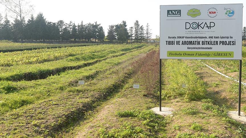 Doku kültürüyle bitki üretimi