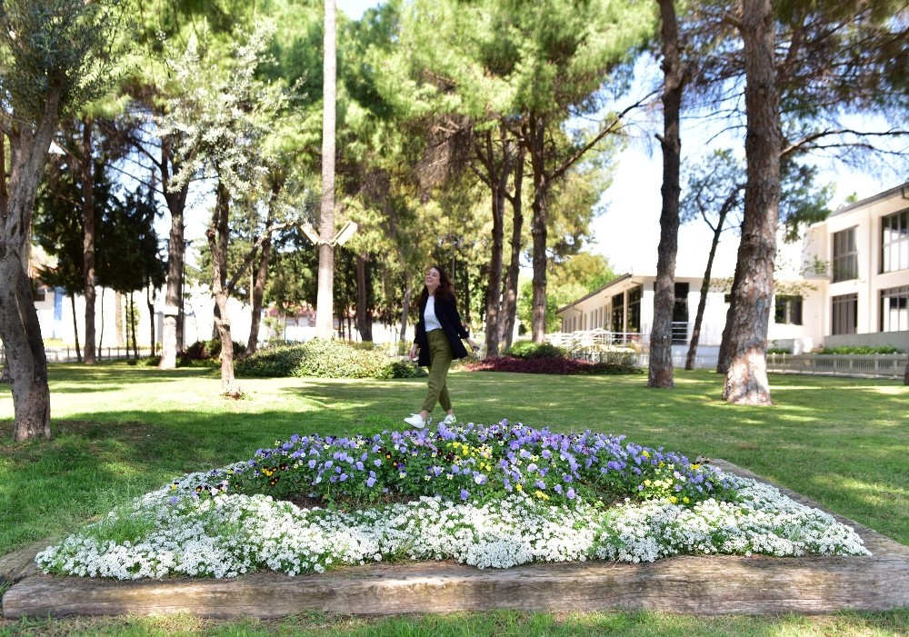 Dokumapark çiçek açtı 