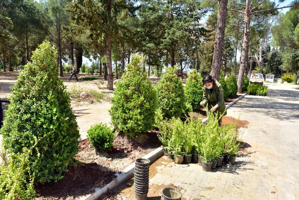 Dokumapark’a yeşil yol 