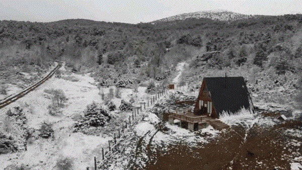 Dolandırıcılar hayatlarını tamamen değiştirdi! 350 bin liraya hayallerine ulaştılar