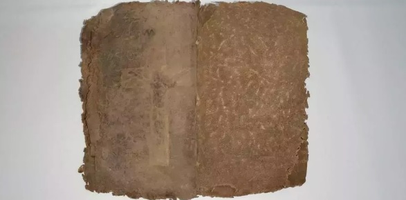 Dolandırıcılıkta çığır açtılar! 220 TL harcayıp 20 milyon liraya satıyorlar