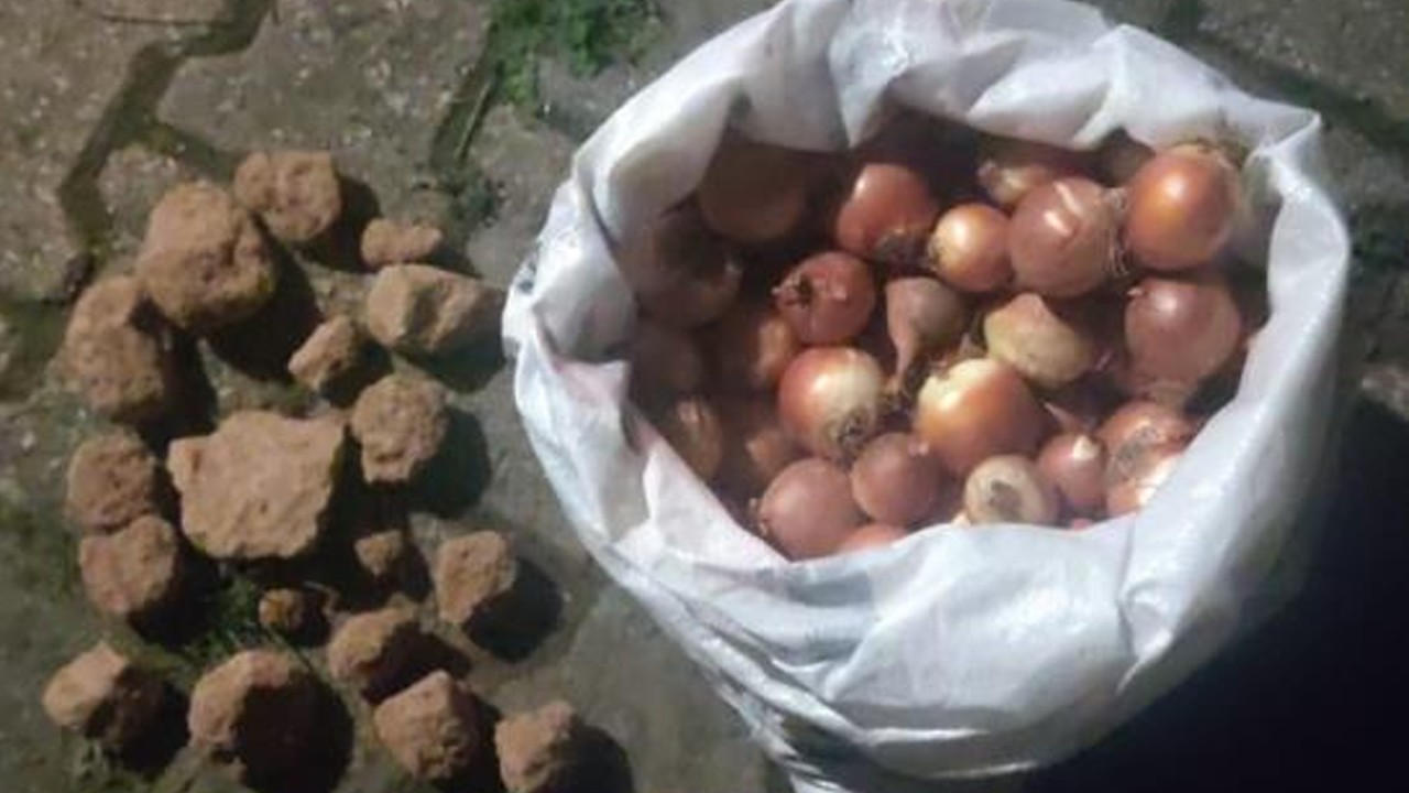 Dolandırıcılıkta son nokta! Soğan çuvalının içinden bakın ne çıktı