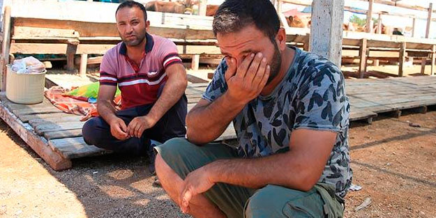 Dolandırılan besici: Bulamazsak benim 10 yılım heba olur