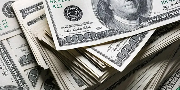 Dolar kuru 25 liraya yanaştı! Net rezerv 1 ay sonra ilk kez pozitif! Hazine borcunda riskli dolarizasyon!