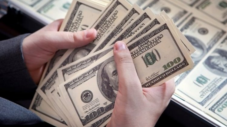 Dolar piyasaya nasıl başladı?