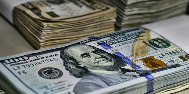 Dolara karşı değer kazanan tek para birimi belli oldu