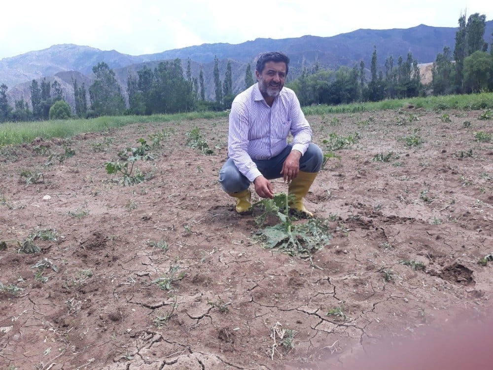Dolu, bal kabağı tarlarına zarar verdi 