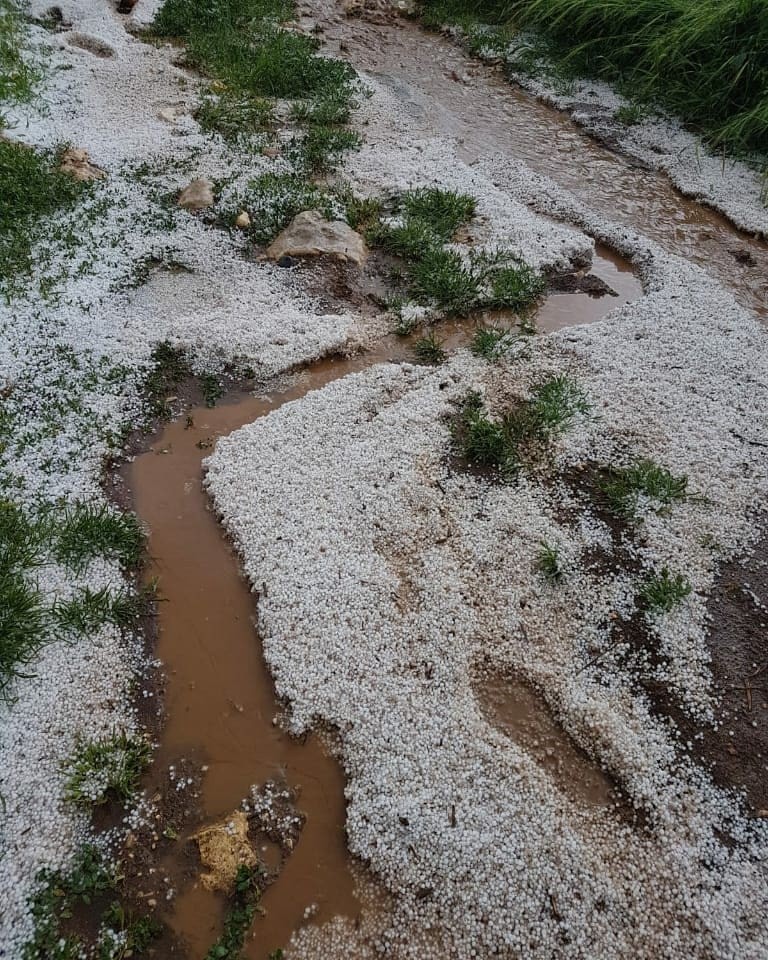 Dolu ekinlere büyük zarar verdi 