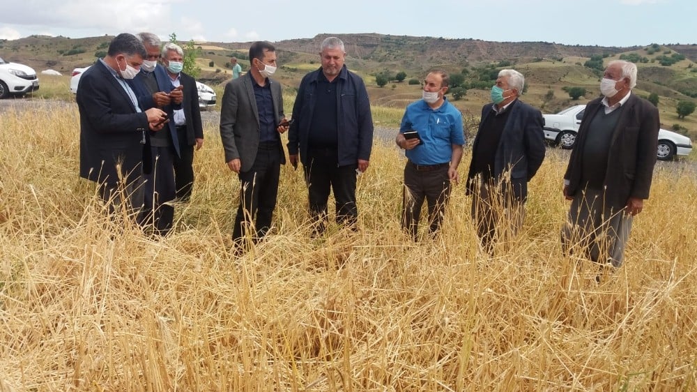 Dolu sonrası hasar tespit çalışmaları başladı 
