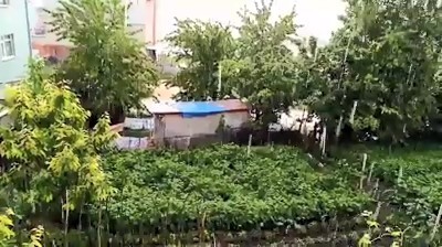 Dolu yağışı Bursa’nın dağ yöresini perişan etti 