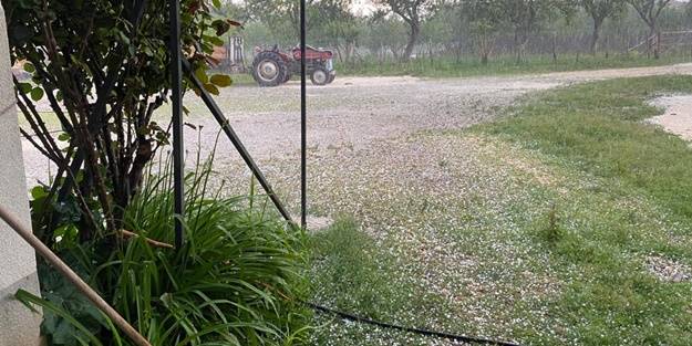 Dolu yağışı, tarım alanlarında zarara yol açtı