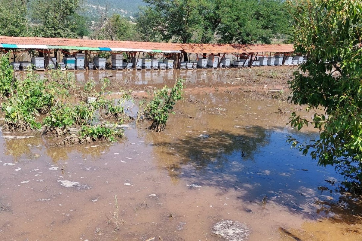 Domaniç'te 80 arı kovanı sular altında kaldı