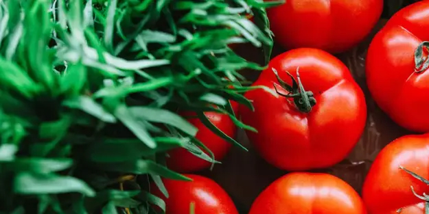 Domates! Binlerce kişi ayıla bayıla yiyor ama resmen zehre dönüşüyor!
