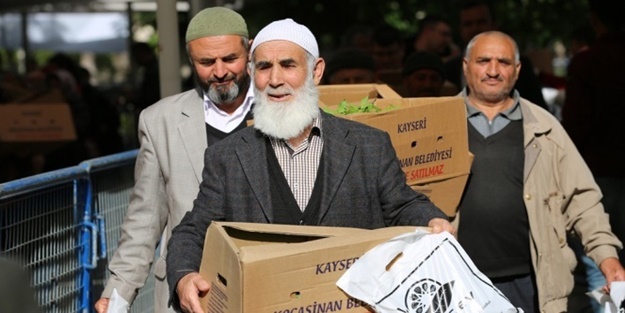Domates fidasına hücum!