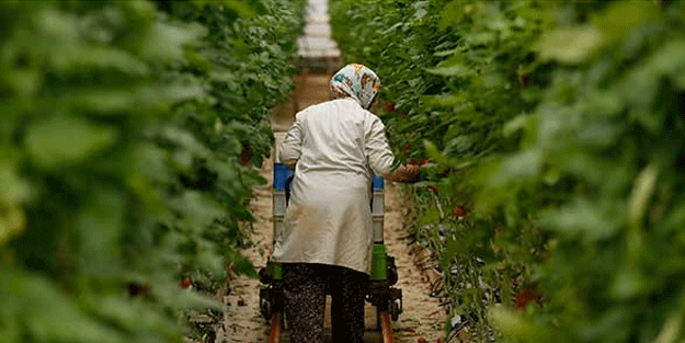 Rusya'ya rağmen dünyaya yetiştiremiyoruz!