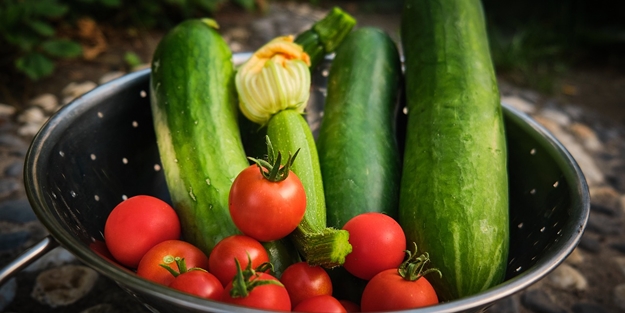 Domates ile salatalığı asla birlikte yemeyin! Şoke eden gerçek ortaya çıktı