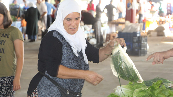 Domates, merkezi Antalya'da pazarda 6 TL'ye satılıyor