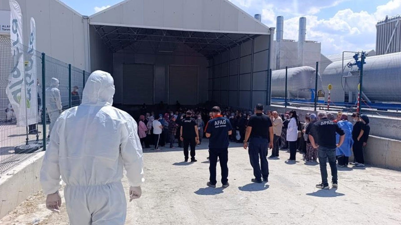 Domates serasında çalışan 10 işçi zehirlendi