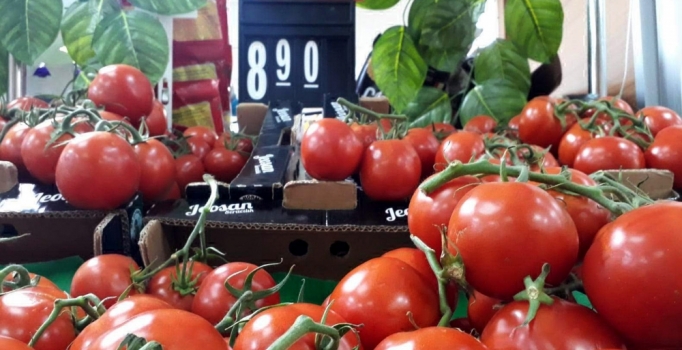 Domates tarlada 3, İstanbul’da 8 liradan satılıyor