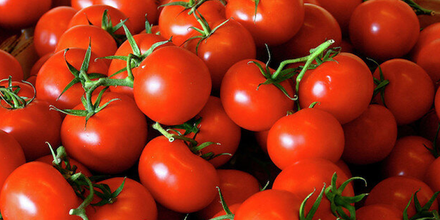 Domates üreticilerinden üstü kapalı tehdit: 1,5 ay sonra bu fiyata yersiniz