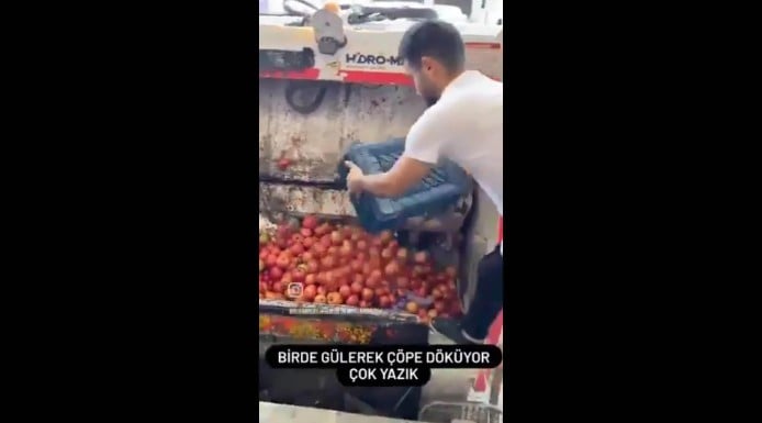Domatesi çöpe döken iş yeri sahibine rekor ceza