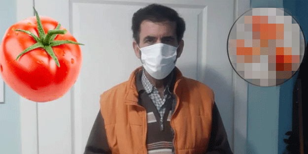 Domatesin içinden çıkanlar şoke etti! Bu kadarına da pes