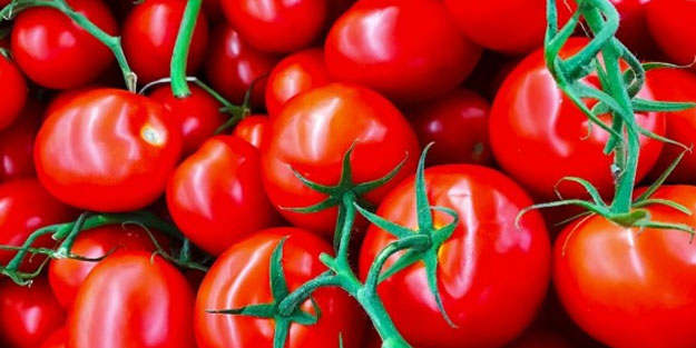 Domatesin sağlığa etkisi şaşırtacak cinsten
