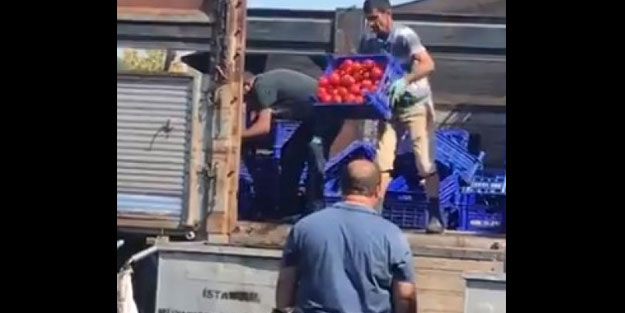 Domatesler halka satılmak yerine çöpe atılıyor