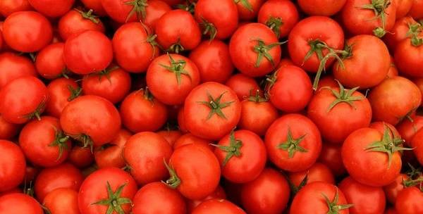 Domatesten korona aşısı mı yapıldı? Domates korona aşısı hangi ülkelerde kullanılıyor?