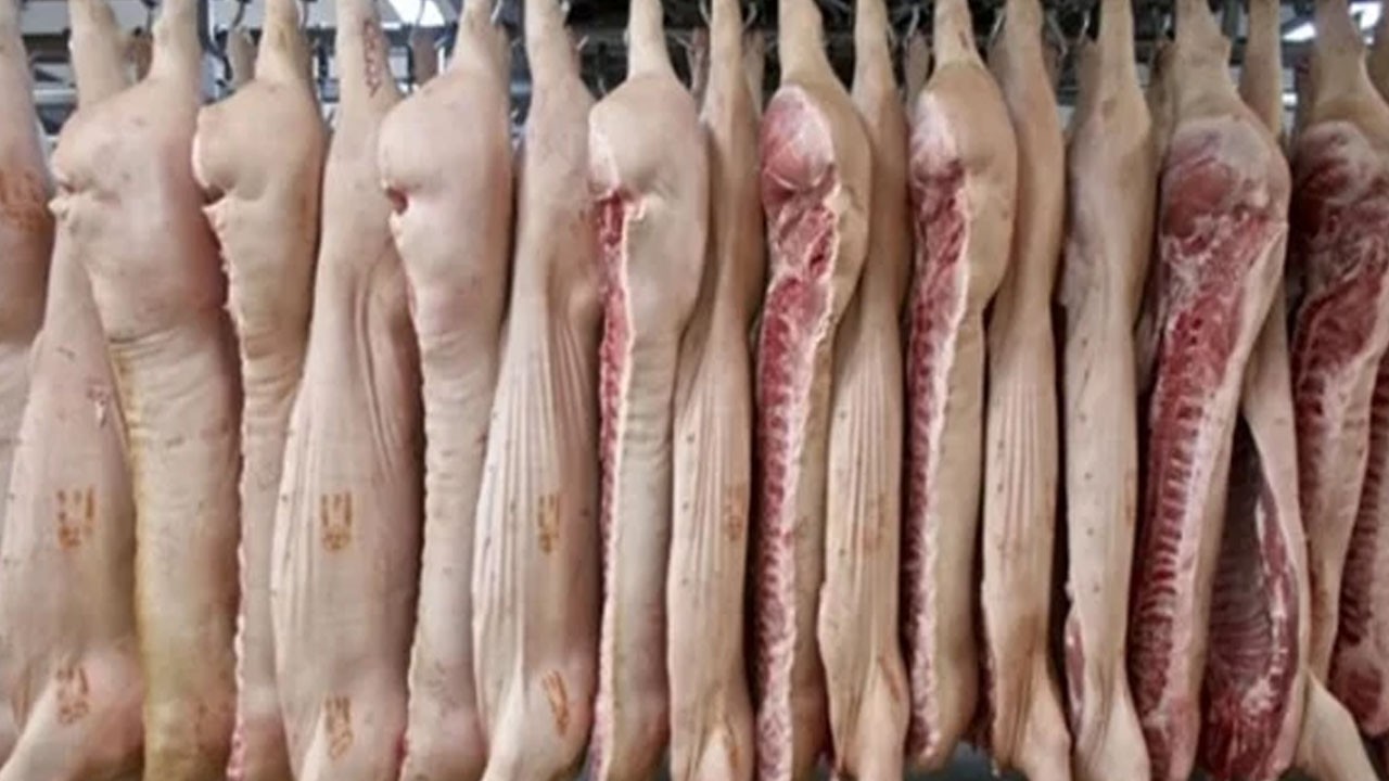 Domuz eti neden haram kılınmıştır?