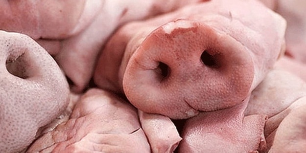 Domuz etlerinin ambalajlarında rastlandı!