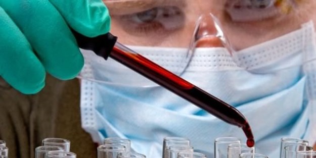 Domuz gribi bir can daha aldı