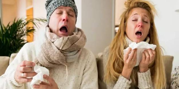 Domuz gribi nedir? Domuz gribine ne iyi gelir?