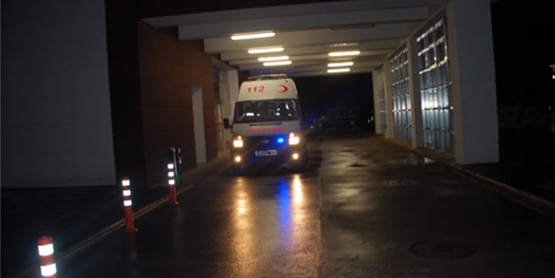 Domuz gribine bir kurban daha!