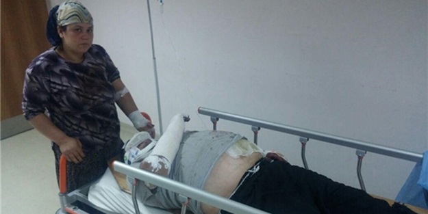 Domuz, iki kişiyi yaraladı