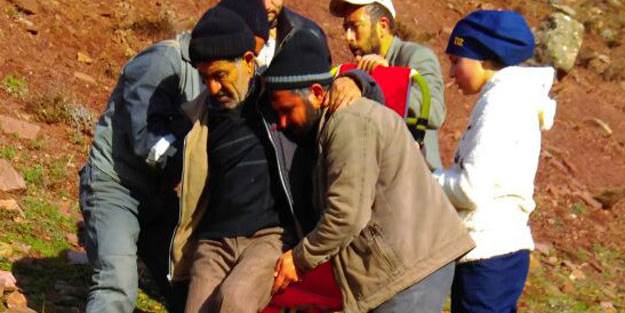 Domuz saldırısına uğrayan çoban yaralandı