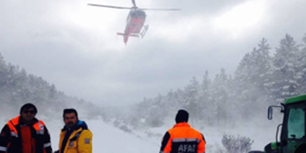  Domuz sandığı adamı öldürdü