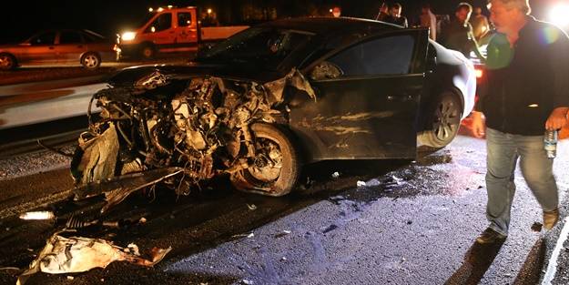 Domuz sürüsü kazaya neden oldu! 6 yaralı