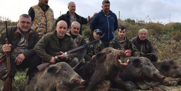 Domuzlar mahalleye inince, silahlanıp ava çıktılar