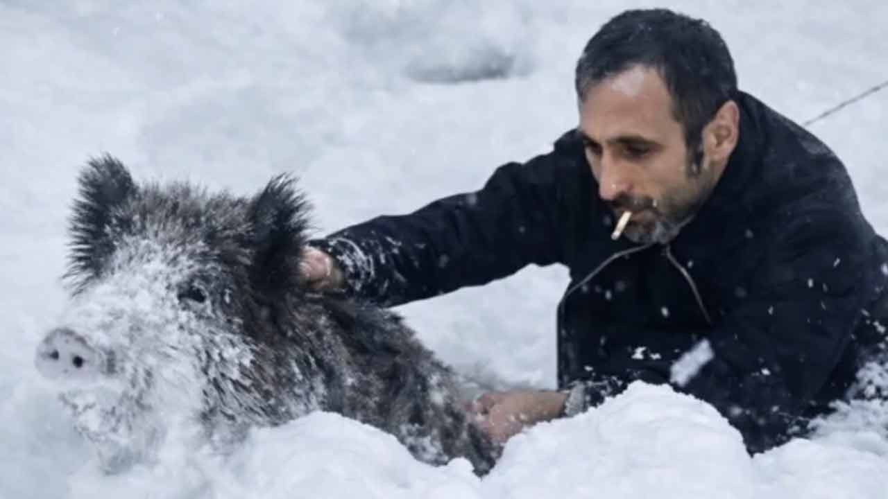 Domuzu elle yakalayıp dünya genelinde viral olmuş ama cezayı yemişti... Cezası iptal edildi