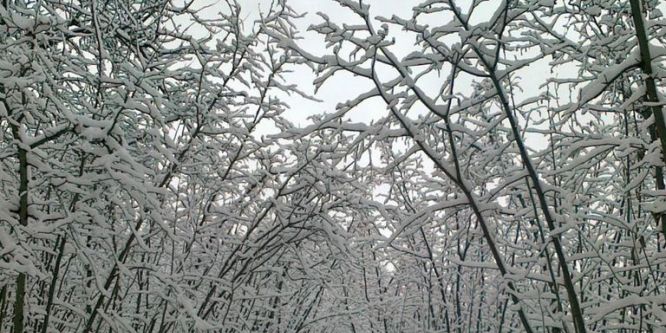 Meteorolojiden uyarı!
