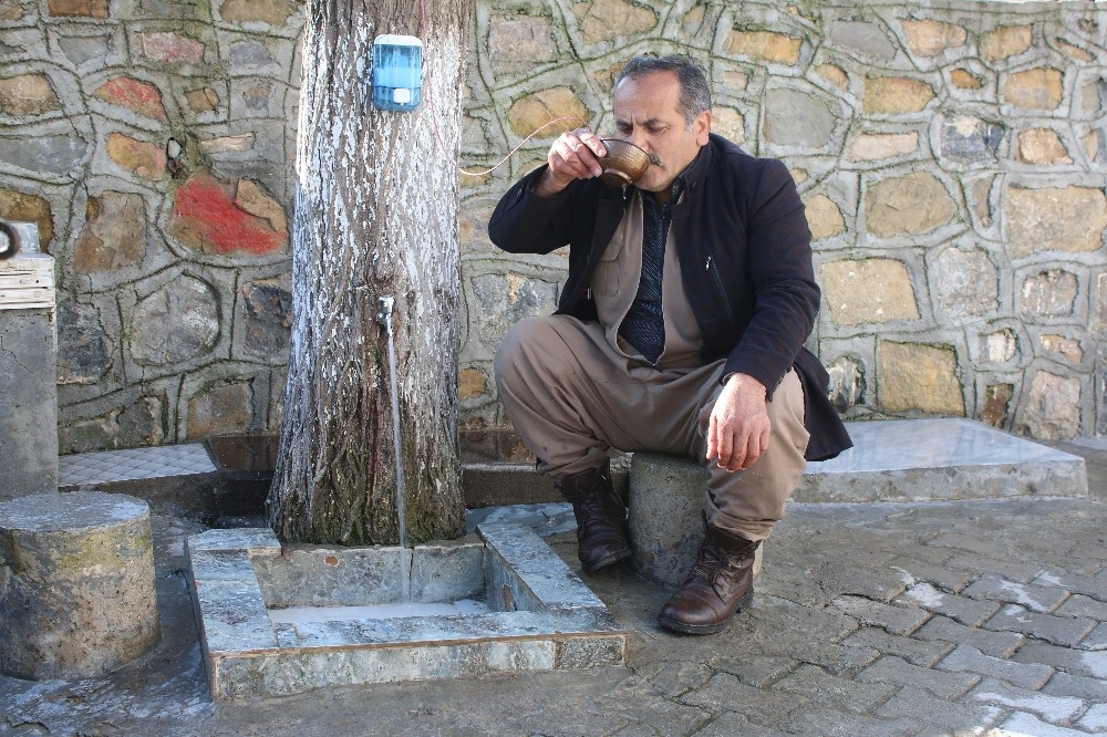 Donan musluk borusuna ilginç çözüm, ağaç gövdesini oydu 