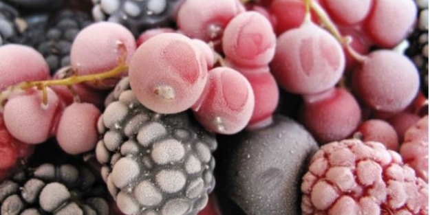 Dondurulmuş gıdaları birde böyle okuyun