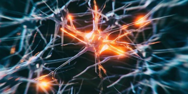  Bilim insanları öyle bir şey yaptı ki, dondurulmuş insanları hayata döndürecek keşif