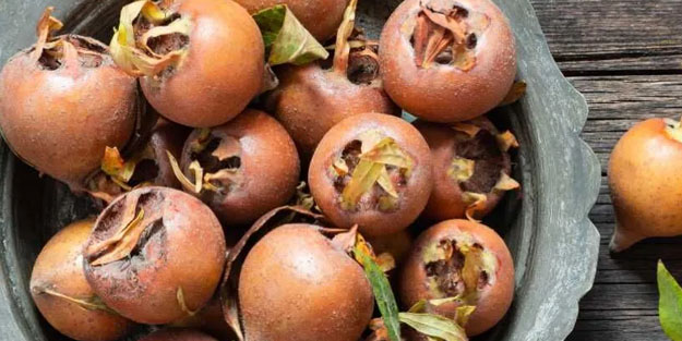 Döngel! Günde 7 tane yerseniz...