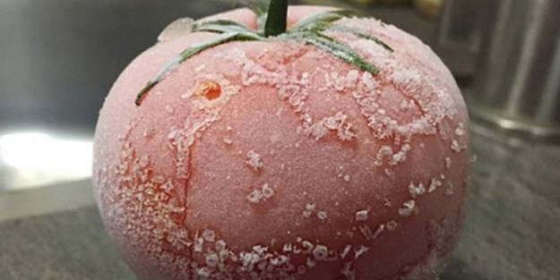 Donmuş domates çözülünce ne olur?